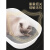 路斯矿石活性炭混合猫砂膨润土沙少尘结团猫咪用品  活性炭猫32kg【 约一年用量】