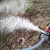 汽油机水泵农用高压抽水机自吸 高扬程灌溉消防 标配+3米钢丝进水管 2寸配件礼包