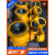 Q41F-16C铸钢法兰球阀燃气天然气专用不锈钢球芯球阀DN50 80 100 黄色 DN150 天然气球阀