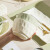 法式奶油风碗碟套装碗家用2024新款餐具碗盘高级感轻奢清新景德镇 奶黄奶绿-4人食18件套-方盘