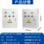 双水泵控制箱一用一备自动低压排污泵380v一控二220v成套配电柜 深棕色