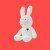 兔年安东尼不二兔毛绒公仔兔子玩偶玩具抱枕可爱娃娃新年礼物 70 30厘m 不二兔公仔