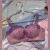 IFIZ性感内衣少女小胸聚拢显胸美背胸罩调整型蕾丝文胸罩套装 香芋紫-单件 32/70A