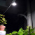 NOTBAATY台湾地区全光谱植物补光灯月季光合作用室内花卉草莓仿太阳光照灯 110v + 全光谱35瓦【白色灯架】