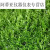 草坪围挡环保人造仿真草坪网隔离网护栏网绿色市政防护绿化草皮 2米宽25米长三色草25厘米厚