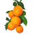 伦晚脐橙 湖北新鲜橙子 水果礼盒 5斤特大果75-85mm