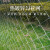 狮王（LION KING）网围栏门网围栏门4m*1.2m ,镀锌勾花网,6-8cm网孔 单位：个