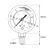1/4BSP表盘68mm直径径向压力表注油防震气压表水压表油压表液压表 0-700bar 0-10000psi