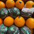 埃及橙进口埃及脐橙新鲜多汁橙当季时令大果奶茶店榨汁橙 70mm(含)-75mm(不含) 5斤