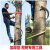 国标加厚型电工脚扣爬木杆电线杆电信杆脚钩登杆工具爬树 400型木杆20-38cm