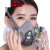京仕蓝防毒面具口罩喷漆防粉尘油漆专用呼吸防护化工气体工业全面 6200配6001+10片棉