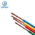 起帆QIFAN 电线电缆ZB-BVR-450V/750V-10平方单芯多股软线100米/卷 红色