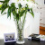 银柳专用花瓶加厚大号花瓶玻璃透明客厅摆件水培植物富贵竹百合插 15贴标-渐变色3个