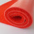普力捷地毯塑料丝圈垫子 长6.6米*宽3米 定制LOGO 单位：张定制 丝圈-红色
