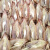 食芳溢野生鱿鱼母干货500克 带卵满籽海鲜50克东山特产孕产妇坐月子炖汤 250克(半斤)