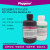 ECL超敏化学发光试剂盒 ECL发光液显色剂 100mL [PH0353 PHYGENE] 2×50mL[100mL]