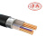 津西 铜芯铠装交联电力电缆（ZR/ZC）YJV22  4芯(单位：米) 4X2.5