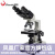 凤凰（Phenix）双目生物显微镜XSP-36光学放大1600倍高清学生教学家用畜牧养殖用 标配：XSP-36-640倍