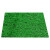 安小侠 仿真草坪垫子假草绿色人造草坪塑料假草幼儿园户外假草皮装饰地毯 1.0翠绿加密款
