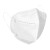 飞尔 一次性N95防护口罩 白色折叠式 一盒装【20只/盒】