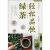 轻松品饮绿茶——家庭茶艺