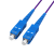 胜为（shengwei）FSCK-1100 电信级铠装光纤跳线 SC-SC网线单模单芯10米 防鼠咬室内抗拉尾纤缆（条）