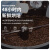 缤果戏法  BINCOO MAGIC手冲咖啡豆埃塞俄比亚瑰夏水洗处理新鲜烘焙咖啡单品豆精品咖啡豆 埃塞俄比亚·瑰夏-35g