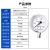 匡建仪表（CONJANT）Y-60BF 不锈钢压力表0-0.25mpa 304材质防腐耐酸碱耐高温M14*1.5螺纹