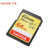 闪迪（SanDisk）SD内存卡  单反相机sd存储卡 高速连拍 U3/C10/V30 64G 读取170M/S 套装