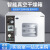 电热恒温真空干燥箱实验室真空烘箱测漏箱工业真空烤箱烘干箱 升级款DZF-6050【370*415*345】