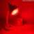 实验加热化验室科研250/375W耐热测试烘干燥烤灯飞利浦 飞利浦250W（红光）灯泡+国 100-300W