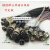 加工焊接GX20带线航空插头插座M20-2 4 8 9 12P至15芯电缆连接器 12芯公20CM线