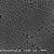 单分散二氧化硅纳米微球 （0.05-200微米） 20毫升 2.5%固含量25mg/ml