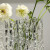 欧洲品质插花瓶新款餐桌轻奢玻璃客厅冰川创意玫瑰家居透明摆 冰川纹透明色