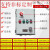 定制适用配电箱BXMD照明动力控制柜检修电源分线盒仪表控制开关箱 定做不锈钢材质()