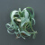 睿格达空气凤梨植物空气凤梨植物室内实木圈磁铁石吸铁套装含植 花卷(10-15cm)+5cm磁铁石木圈 含盆