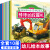 车车大幻想8册 儿童书籍3-6宝宝绘本幼儿园老师睡前故事书 早教大班读物三岁阅读5-7幼儿启蒙全套工程车小班中班4岁2-3岁 盒装儿童汽车标志认知卡含80张