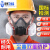 定制防毒面具喷漆专用甲醛化毒气体半面罩脸防护呼吸面 ()6200防尘毒面具+1对滤毒