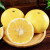 竹域新鲜黄金葡萄柚柚子当季爆汁葡萄柚 整箱时令水果 葡萄柚10斤装