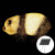 动真格（DongZhenGe）发光熊猫灯户外卡通灯动物灯亮化工程灯草坪灯太阳能景观灯AA 熊猫F款(太阳能) 60*29*35cm