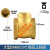 铜止回阀水管水泵用逆止阀自来水单向阀 大型DN80(硬密封)(3寸)