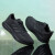 阿迪达斯 （adidas）官方网男鞋 24夏季新款运动鞋轻便透气网面鞋黑色缓震耐磨跑步鞋 黑武士/透气/晒图退10 42 (260mm)