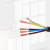 申颛线缆 变压器低压侧出线电缆 WDZB-YJY-0.6/1kV-4x95+1x50