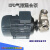 莎庭（SARTILL）不锈钢KFD型自吸气液混合泵溶气泵不锈钢气液混合泵溶器臭氧水泵 20KFD-1 丝口防爆电机