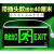 应急指示牌安出口消防疏散标志灯楼层通道LED带电池紧急逃生灯 插头款线长40cm-双面正向