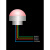 适用led三色灯设备警示灯球形防水小型信号灯单层红黄绿指示灯24v12v 12V闪光