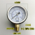 定制适用水压表压力表自来水管道压力检测暖气净水器测压2分4分螺纹 Y-60不耐震0-2.5MPA/25KG 1