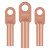 捷诺立（JNL）铜鼻子 DT95平方紫铜线鼻子电缆堵油铜接头铜接线端子 5只N65062