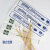 一次性采样取样棉签长杆单独独立包装无菌棉棒加长实验室检测 100支小头 15厘米 包装随机