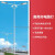 高低双头双臂市电路灯高杆灯广场球场灯6米8米10米12米15米中杆灯 10米双头100瓦